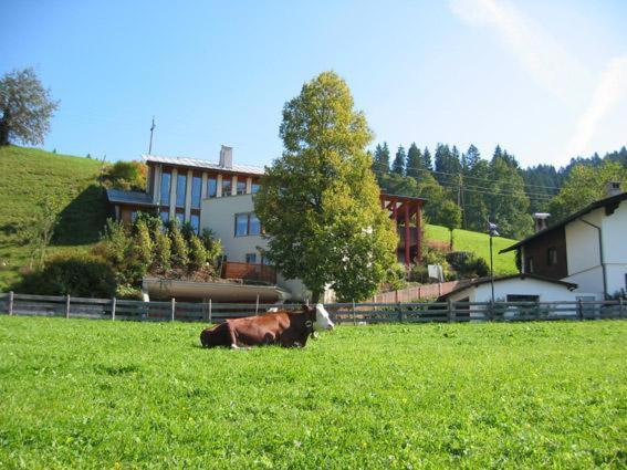 Studio 21A Hopfgarten im Brixental Eksteriør billede